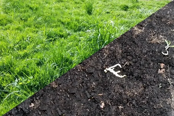 Artificial Turf Removal and Disposal in Friendswood, TX