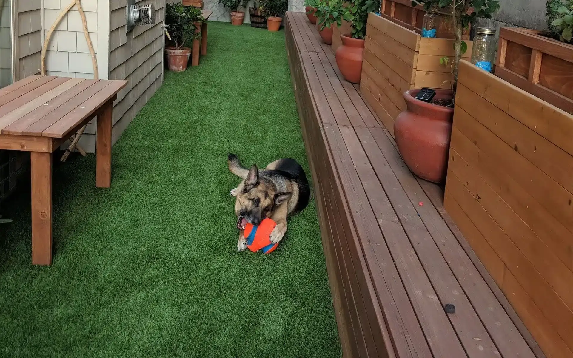 Pet Friendly Artificial Turf Installation in Friendswood, TX